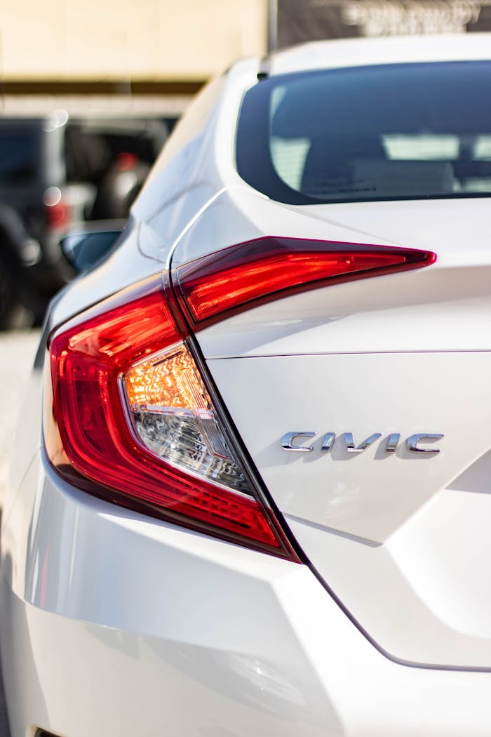 pexels photo 15296580.jpeg