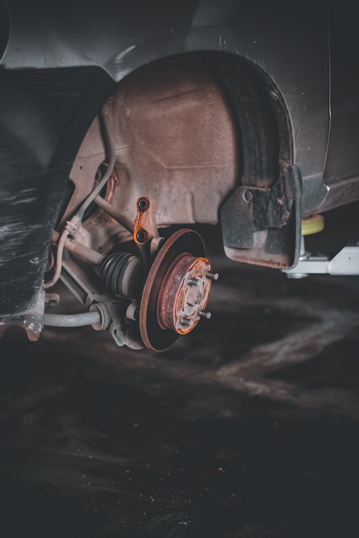 pexels photo 8651900.jpeg